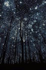 Fondos de pantalla nocturnos tumblr. Fondos De Pantalla Nocturnos Tumblr Fondos De Pantalla De Noche Fondosmil Explora Los Mas Bonitos Fondos En Super Alta Resolucion Para Tu Smartphone Puedes Descargarlos Gratis Y En El Formato