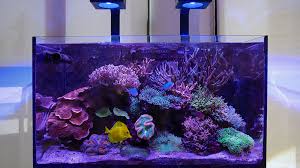 Red Sea S Reefled Lights Are Launching In May Here Is Everything We Ve Learned So Far Marine Depot Blog