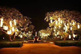 Beautiful Garden At Night Google Search Beautiful Gardens Front Gardens Night Garden