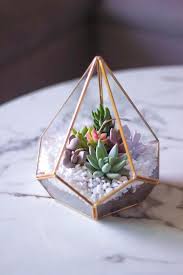 Home Decor 20 Diy Cactus And Succulent Garden Decor Ideas Cactus Decor G Woodworki In 2020 Geometric Terrarium Diy Succulent Terrarium Succulents Decor