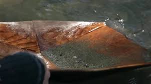 All the gold gettin, treasure seekin; Gold Mining Stock Footage Royalty Free Stock Videos Page 6