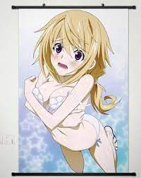Amazon.com: Home Decor Anime Infinite Stratos Charlotte Dunois Wall Scroll  Poster Fabric Painting Cosplay 23.6 X 35.4 Inches