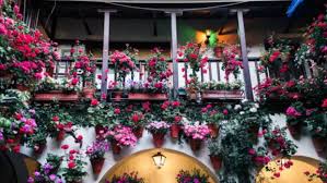 Maybe you would like to learn more about one of these? Como Hacer Un Jardin En Un Patio Interior De Forma Facil Paso A Paso