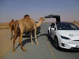 Come see us in the rental shop for all your other equipment needs. 12 Of The Strangest Automobile Laws From Around The World Carbuzz