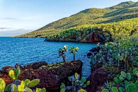 Welcome to galapagos conservancy, the only u.s. Visit Galapagos Islands Rabida Also Known As The Red Beach Island