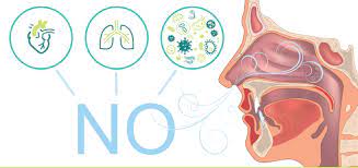 Hum Your Way To Health How To Naturally Increase Nitric Oxide In Your Body Sequence Wiz