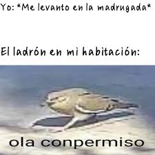In january 2021, the word gained popularity as a catchphrase used in ironic memes, often used to replace dialogue in. Con Permiso Meme Crear Memes