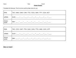 Transcription and translation practice worksheet biology. Transcription And Translation Practice By Happy Cat Science Tpt