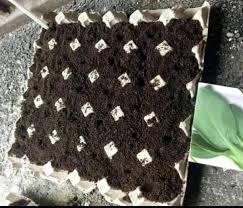 Baja tahi ayam ditabur dibahagian tengah batas. Cara Tanam Sawi Guna Bekas Telur Baja Tahi Ayam Air Basuhan Beras Patutlah Subur Keluarga