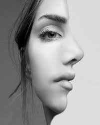 Image result for illusion pictures
