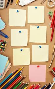 Elena Bracchi (elenabracchi)