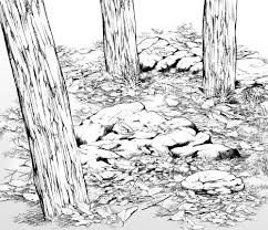 Image Result For Manga How To Draw Forest