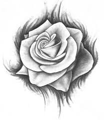 (step 3) draw curved lines connecting the outer lines. Simple Rose Drawing Images Novocom Top