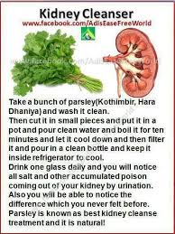 Herbalhills Kidney Supplements Manufacturer Herbs For Kidney Kidney Health Health Remedies Health Tips