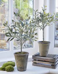 Fake Olive Trees Planter Gronne Planter Dekoration