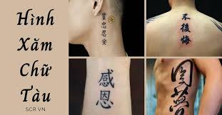 Chữ hồ  乎  và hề  兮  là những chữ cảm thán. Hinh XÄƒm Chá»¯ Tau Ä'áº¹p Nam Ná»¯ Tattoo Chá»¯ Tau Y NghÄ©a