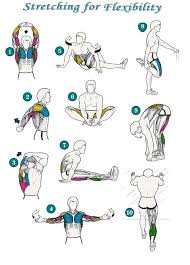 How To End Your Work Out After Workout Stretches Stretches For Flexibility After Workout