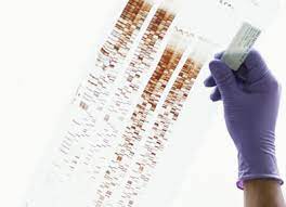 You won't find this ebook anywhere online. How Dna Profiling Works Howstuffworks