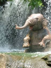 In the video, the baby elephant can be seen walking towards a tub of water while the caretaker. Sacred Elephant Bathing Pool Jungle Cruise Adventureland Hong Kong Disneyland Happy Animals Cute Baby Animals Baby Animals Pictures