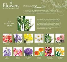Birthday Flowers For Each Month Birthday Flowers Birth Month Flowers Birthday Flowers Bouquet