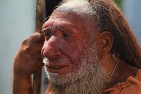 Check spelling or type a new query. How Long Ago Did Neandertals And Denisovans Part Ways John Hawks Weblog