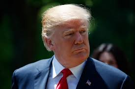 Fresh thoughts about the putrid stink of Trump's swamp