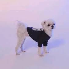 Pin On Got7