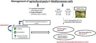 The potential for invasive nematode pests to establish in our agricultural production systems also can be better determined from studies on genetic the project will also benefit the diagnosis and response process required when invasive nematode pests are suspected or found in production. Sustainable Alternatives To 1 3 Dichloropropene For Controlling Root Knot Nematodes And Fungal Pathogens In Melon Crops In Mediterranean Soils Efficacy And Effects On Soil Quality Sciencedirect