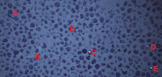 How do you play tiny fishing on poki? Bgr Current Miningimpact Logbook