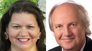 City Council candidates Hanson, Van Nett differ in views