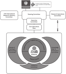 can solve ckd organizational chart note can solve ckd