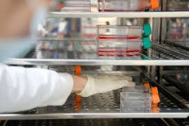 We did not find results for: Improving Cell Productivity Yokogawa Electric Corporation