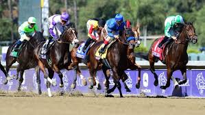 Jan pommer, bis zum frühjahr geschäftsführer von deutscher galopp, hat einen neuen job beim unternehmen sportradar angetreten. Us Pferdesport Im Galopp In Den Tod Archiv