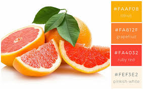 How To Design With Monochromatic Colors With Expert Tips From A Designer Grapefruit Diet Grapefruit Orange Fruit