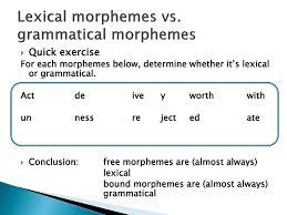 In traditional grammar the study of the morphemic structure of the word was conducted in the light of the two basic criteria: Ppt Morphology Powerpoint Presentation Free Download Id 2925810