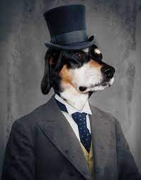 Monsieur Ben Pet Portrait Dapper Dog Top Hat Dog Veterinarian Print Veterinary Gift For Dog Lover Pet Lover Canadian Seller 11 Tiere In Kleidung Tiere Bilder