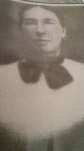 Can anyone connect this John Jarvis married to Sarah Plank. They had a  daughter Teresa in 1844