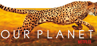 Documentare Netflix Gratis Pe Youtube Lista CompletÄƒ A Titlurilor Go4it