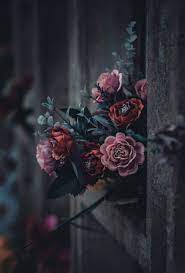 Both chloe and abundance feature delicate pink or purple flowers on a black. 750 Dark Flower Pictures Download Free Images On Unsplash
