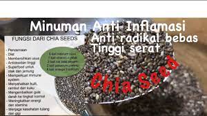 Selain untuk taburan makanan atau minuman, chia seed juga bagus untuk diet. Cara Membuat Minuman Chia Seed Anti Inflamasi Jsr Dr Zaidul Akbar Youtube