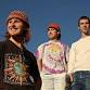 Cleo Birdseed - OUTSIDE - FREE