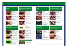 Mite Identification Chart Pest Identification Moth Cats