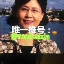 Alice lan (@Aliceleng3)