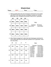 Dihybrid Punnett Square Quiz By Goby S Lessons Tpt