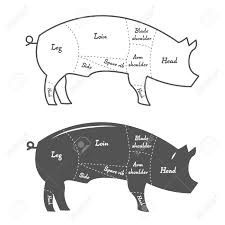 detailed illustration or chart of pork cuts