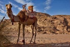 Many of lawrence of arabia's exploits unfolded here and more one of the best ways to experience wadi rum is to take a camel ride in the area. A Camel Trek In Wadi Rum Jordan Hecktic Travels