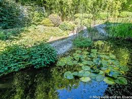 .jardins de gaïa spécialistes du thé bio et équitable haut de gamme, les jardins de gaïa proposent près de 500 thés et tisanes d'excellence toutes les fleurs de bach. Maison De The Les Jardins De Gaia Mon Week End En Alsace