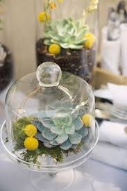 Perfect Use Of An Apothecary Jar Cheese Dome Or Cake Stand Terrarium Cake Stand Decor Succulent Terrarium