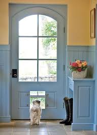 The Little Book Of Secrets Dog Door Doors Traditional House