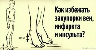 ÐšÐ°Ñ€Ñ‚Ð¸Ð½ÐºÐ¸ Ð¿Ð¾ Ð·Ð°Ð¿Ñ€Ð¾ÑÑƒ ÐœÐ¸ÐºÑƒÐ»Ð¸Ð½ ÐÐºÑ‚Ð¸Ð²Ð½Ð¾Ðµ Ð´Ð¾Ð»Ð³Ð¾Ð»ÐµÑ‚Ð¸Ðµ Ñ‡Ð¸Ñ‚Ð°Ñ‚ÑŒ